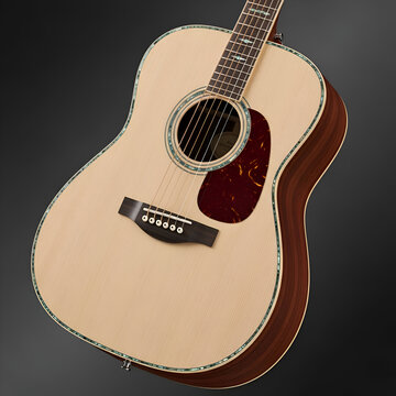 Title: A detailed of a cuttlefish with a spear-like appendage and tentacles