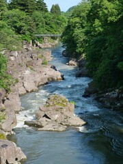 Fast-Flowing River Through a Rocky Gorge Surrounded by Lush Green Forest