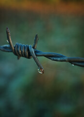 barbed wire fence