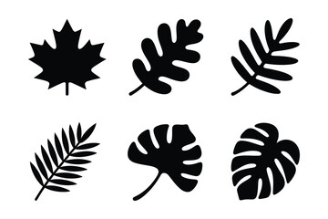 Collection of Various Tree Leaf Silhouettes for Botanical Design
