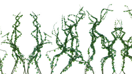 Fototapeta premium Green Dancers: Abstract Vine Silhouettes on White