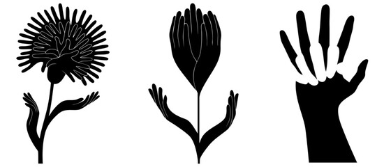 Fototapeta premium Hands Growing into Flowers and Open Palm Gesture Showing Human Connection