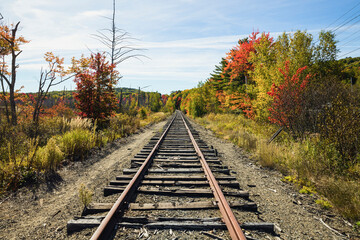 Railroad tracks with colorful foliage and strong leading lines