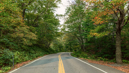 Winding Mountain Road Amid Autumn Cliffs