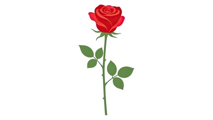 Modern Flat Illustration of Single Stem Rose