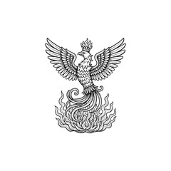 Fototapeta premium Medieval heraldic phoenix engraving.