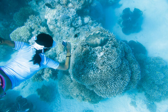Woman taking photo underwater of giant clam shell, Cook Islands