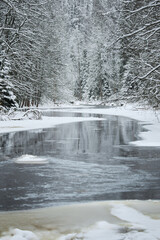 Obraz premium a calm winding river in a snowy forest, trees under the snow in the forest, peace and quiet, reflection on the water, without people