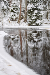 Obraz premium a calm winding river in a snowy forest, trees under the snow in the forest, peace and quiet, reflection on the water, without people