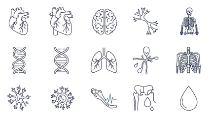 Fototapeta premium Human Anatomy Icons: Heart, Brain, Lungs, DNA, Skeleton, Neuron, Cells