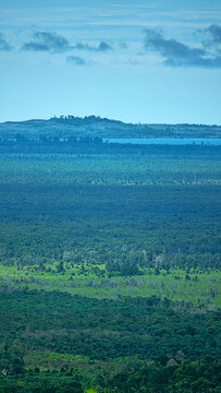 Regularly floods Padas River (lower course) near Bisaya-Brunei, river valley, tree plantations, rainforest and flooded meadows