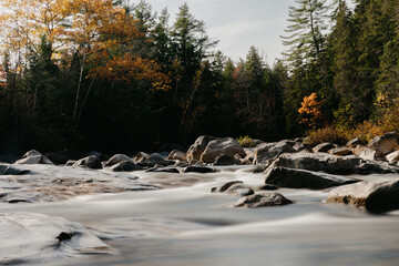 Autumn Forest River With Smooth Flowing Water and Rocks