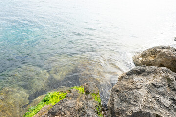 Obraz premium Rocks by the water with green algae visible.. Palma de Mallorca, Spain