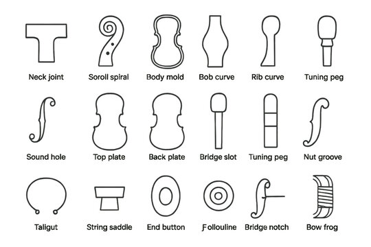 Violin Parts Icons. Line style icons of violin parts: neck joint, scroll spiral, body mold, rib curve, sound hole, top plate, back