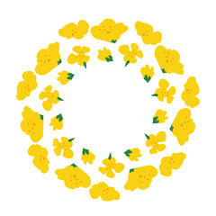 Cute circle frame with hand drawn canola rapeseed flowers isolated on white background.