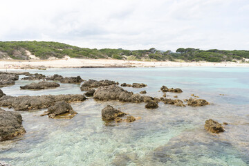 Rocky shoreline with clear water and greenery.. Palma de Mallorca, Spain
