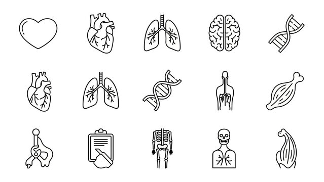 Human Anatomy Icons: Heart, Lungs, Brain, DNA, Skeleton, Muscles & More