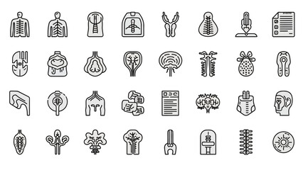 Fototapeta premium Human Anatomy Icons Set - Medical Organs and Body Systems