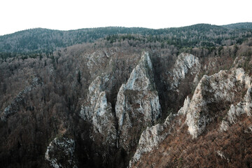 Rocky mountain ridge in Tara National Park Serbia with steep cliffs and forested slopes. Dramatic wilderness landscape showing raw nature, depth, and untouched mountain terrain.