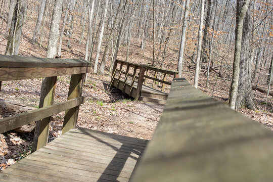 Bridges in the Winter.  A wooden bridge with guardrails leads through a leaf-strewn forest under the bright sunlight, casting prominent shadows on the ground