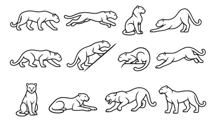 Obraz premium Line art panther illustration set featuring various poses for animal design projects