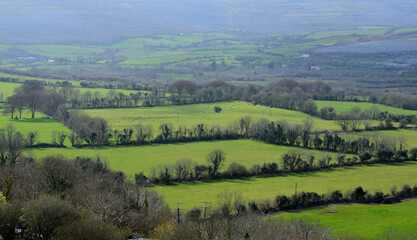Lush Grass Pastures and Fields in Ireland