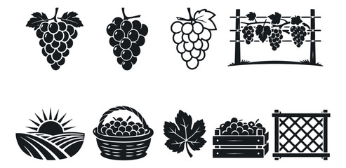 Obraz premium Glyph and line art style grape icon set featuring bunches, leaves, vineyard elements, and harvest items for winemaking and agriculture