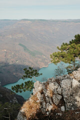 Rocky cliff with pine tree above Perucac Lake and Drina River canyon in Tara National Park, Serbia. Natural mountain view with water and distant hills.