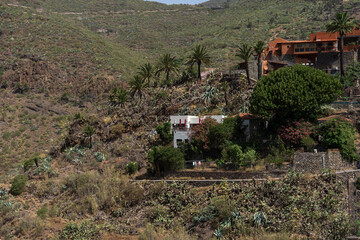 Masca Valley houses with red roofs and palms on steep volcanic hillside amid rugged mountains, Tenerife, Canary Islands, Spain.
