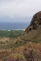 Agave blooms frame winding Camino Real las Arenas road overlooking Los Silos banana fields and Atlantic Ocean, Tenerife, Canary Islands, Spain.