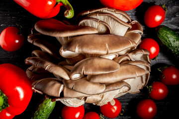 oyster mushrooms on black wood background