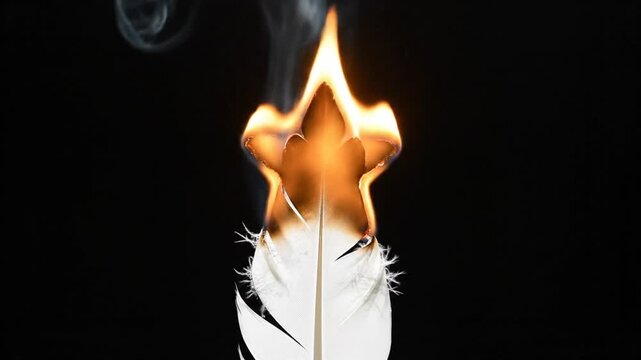 A white feather burning in flames against a black background, the fire shaped into a star