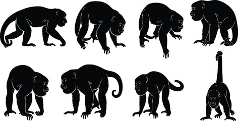 Black monkey silhouette collection showing multiple walking, crouching, and climbing poses isolated on white background, wildlife primate illustration set for design and education © Shariyar Pantho