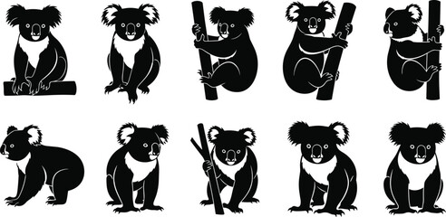 Collection of black koala silhouette illustrations showing sitting, standing and tree climbing poses isolated on white background Australian wildlife vector set design elements © Shariyar Pantho