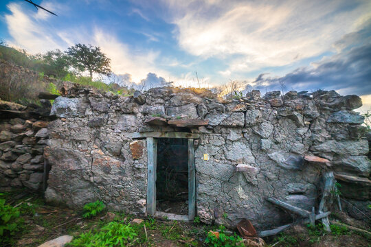 Old house in ruins at sunset framed by a tree, in Rancho Los Cardos in Monte Escobedo, Zacatecas