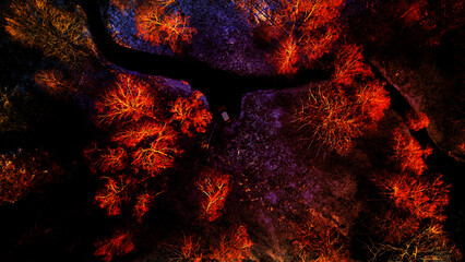 Fototapety na wymiar - Fototapeta24.pl