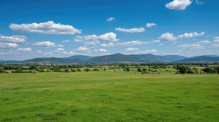 Fototapeta premium Expansive Green Meadow Under Blue Sky with Fluffy Clouds and Serene Mountains in Background, Ideal for Nature and Landscape Themes