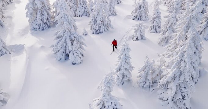 Smooth cinematic flight over a snow covered alpine landscape with a ski mountaineer touring through pristine winter terrain. Peaceful yet adventurous winter scene with deep snow and frosted trees.
