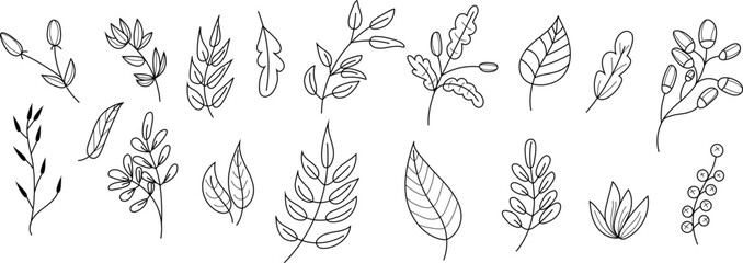 Hand drawn botanical leaves collection in minimalist line art style. Abstract floral branches and foliage elements perfect for branding, logos, packaging, invitations, wall art, patterns, stationery, 