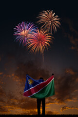 Girl with National flag of Namibia on Independence day
