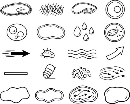 Image Generation. Line style icons of ciliate cell dynamics: paramecium shape, cilia, oral groove, nucleus, food vacuole, cell