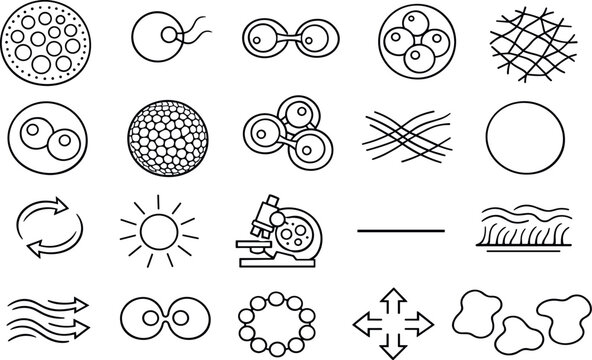 Image Generation. Line style icons of Volvox multicellularity: Volvox sphere, cells, flagella, cytoplasmic connections, daughter