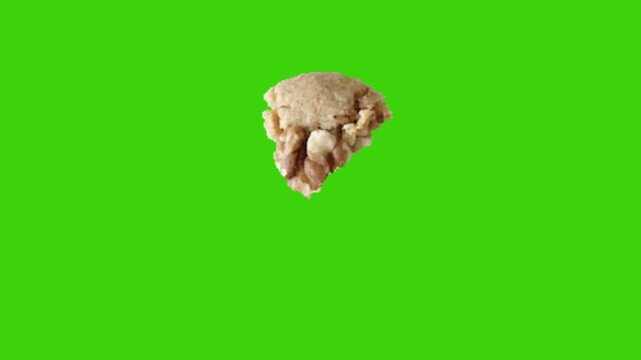 vector illustration of an cookie on green background