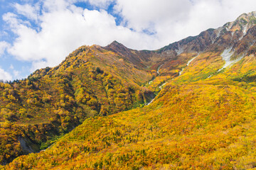 Fototapeta premium 日本の風景・秋 紅葉の立山黒部アルペンルート 絶景の黒部平