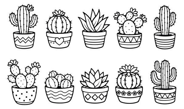 Cactus Drawing Images  Browse 772,800 Stock Photos, Vectors, and Video |  Adobe Stock