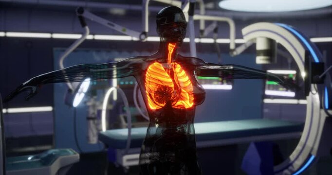 A transparent model displays human lungs illuminated in bright colors inside a modern medical laboratory. The intricate design highlights anatomy for educational and research purposes.