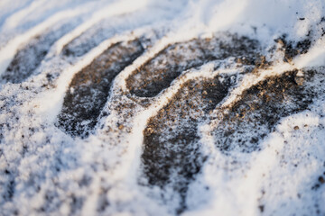 Macro view of snowy ground with dark tire track grooves and road grit, detailed winter texture background showing compressed snow, dirt and tread marks