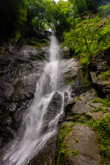 Obraz premium Mountain waterfall flowing over rocks surrounded by lush green forest