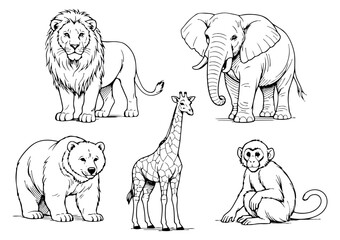 Hand drawn line art wild animals set featuring a lion, elephant, bear, giraffe, and monkey for education and design projects