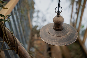 Vintage style metal hanging lamp with patina finish, suspended outdoors near twisted wood branch, shallow depth of field with blurred garden backdrop